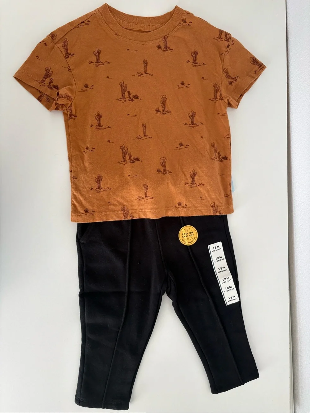 Cat & Jack Rust Cactus Tee with Black Leggings 2-pieces 18M